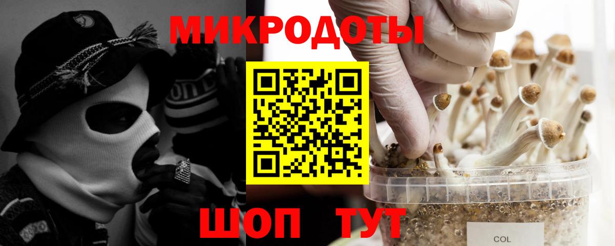 Псилоцибиновые грибы Cubensis  Вход с VPN  Чусовой  Галлюциногенные грибы мицелий 